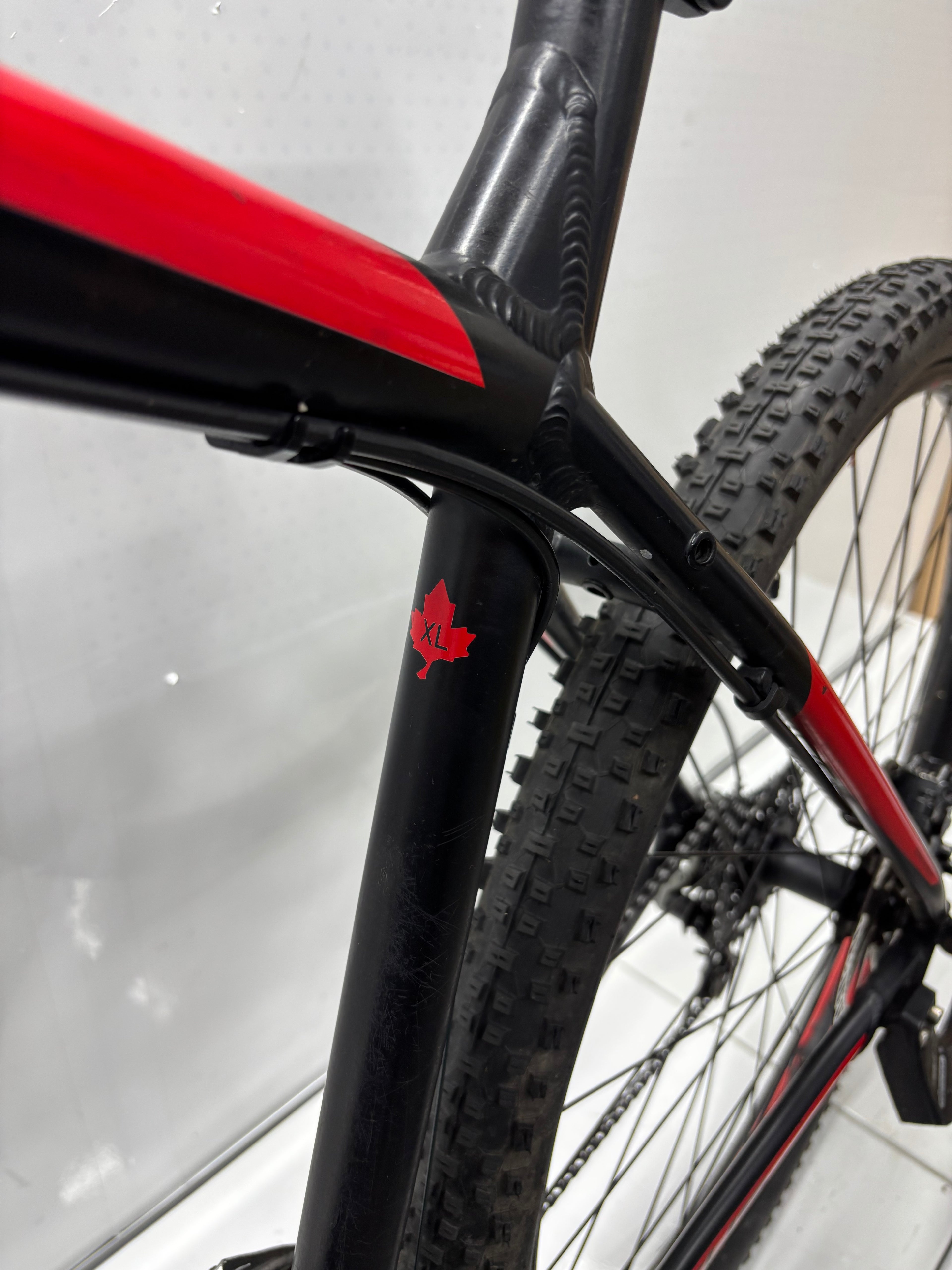Focus Whistler Elite - Rahmengröße: XL - Bastler - DEFEKT