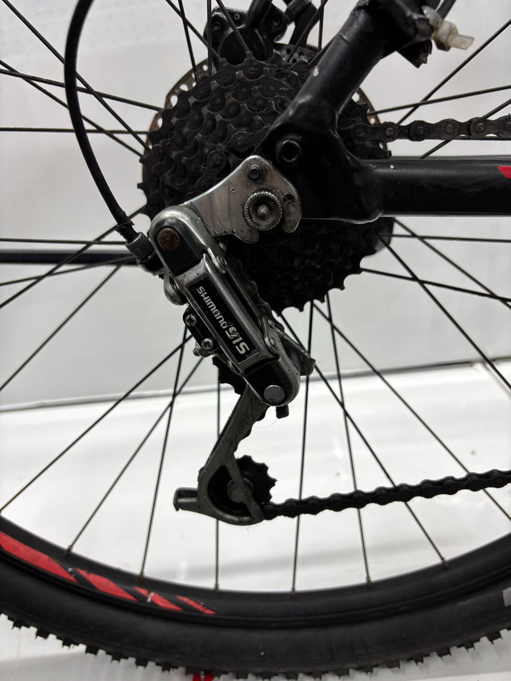 Focus Whistler Elite - Rahmengröße: XL - Bastler - DEFEKT