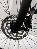 Velo de Ville  AEB 490 Wave wie neu 350 Km