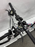 Rixe Outback 2.0 Trap, 26 Zoll - viele Neuteile !