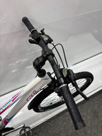 Rixe Outback 2.0 Trap, 26 Zoll - viele Neuteile !