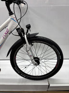 Rixe Outback 2.0 Trap, 26 Zoll - viele Neuteile !