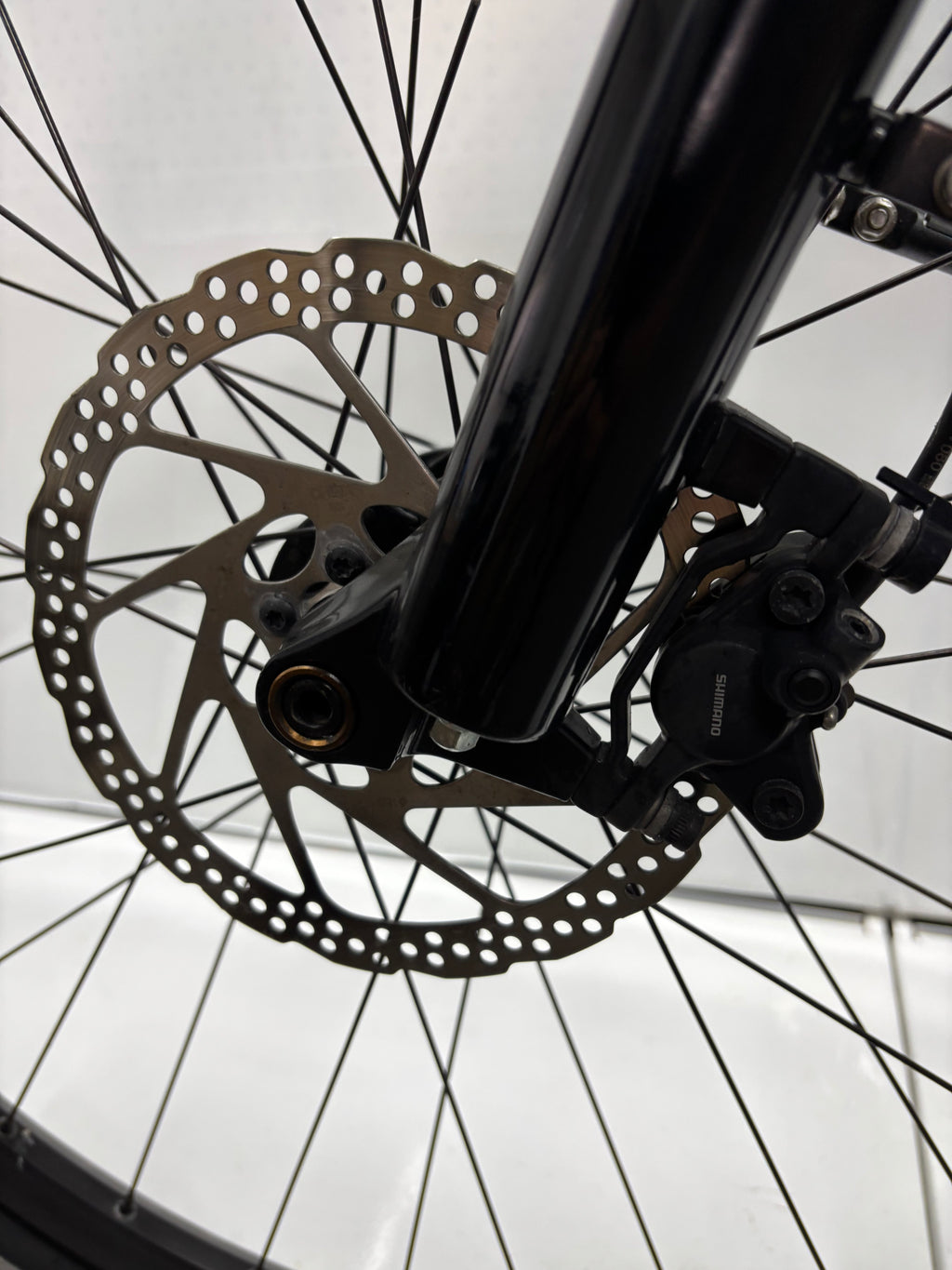Raleigh Bundee (R) - Rahmengröße M