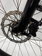 Raleigh Bundee (R) - Rahmengröße M