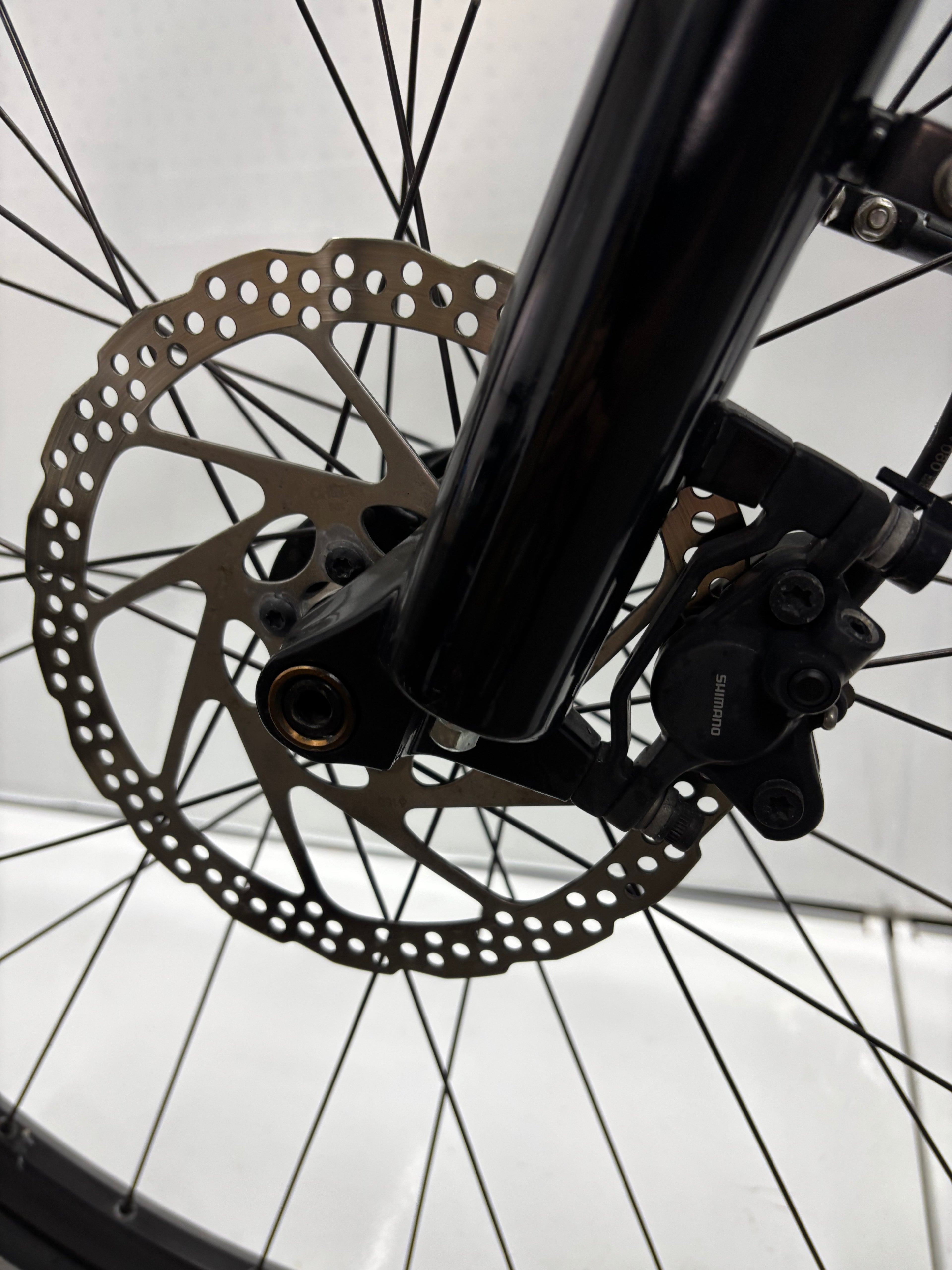 Raleigh Bundee (R) - Rahmengröße M