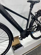 Gazelle Medeo T10