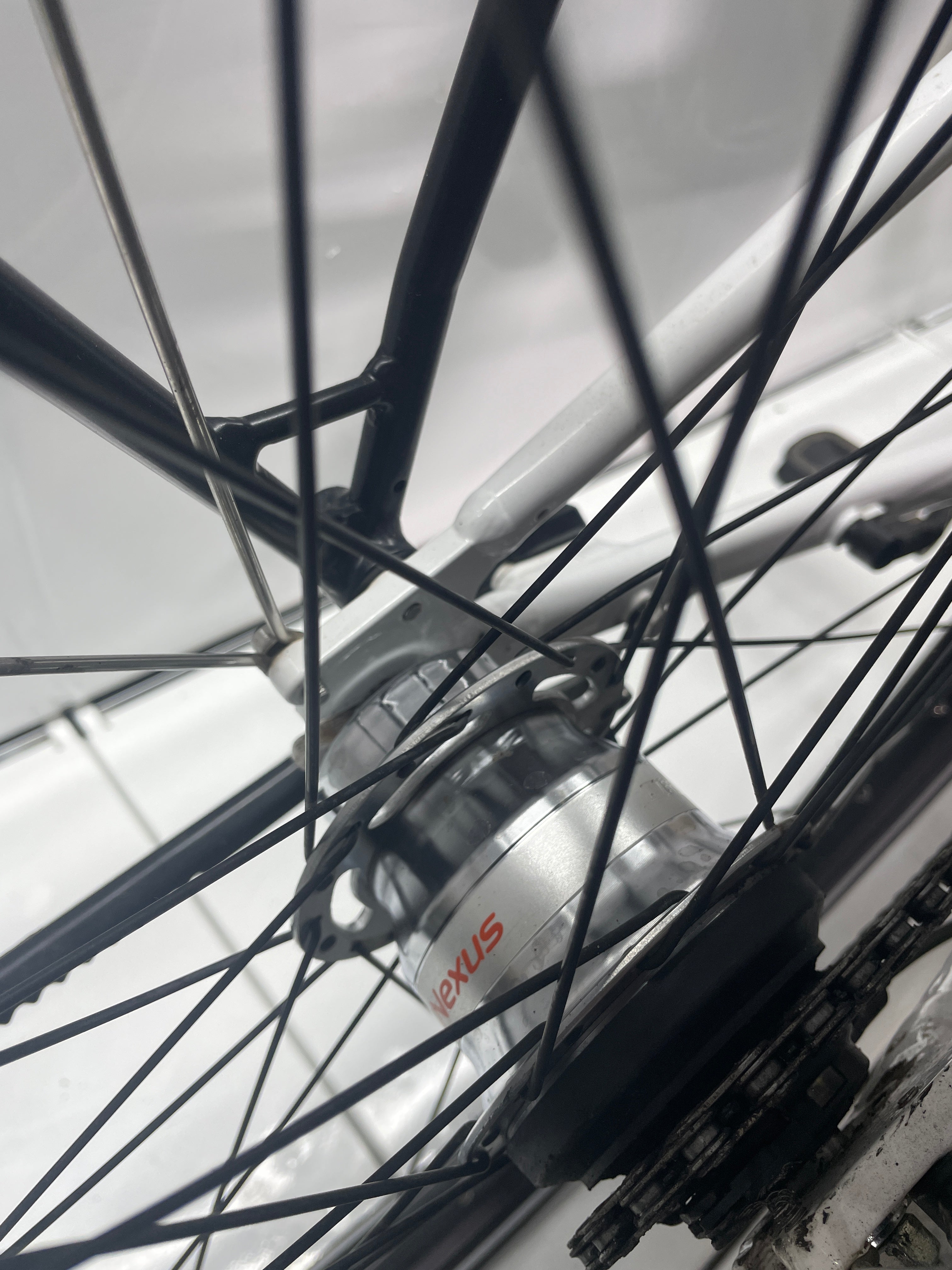 Diamant Saphir E-Bike