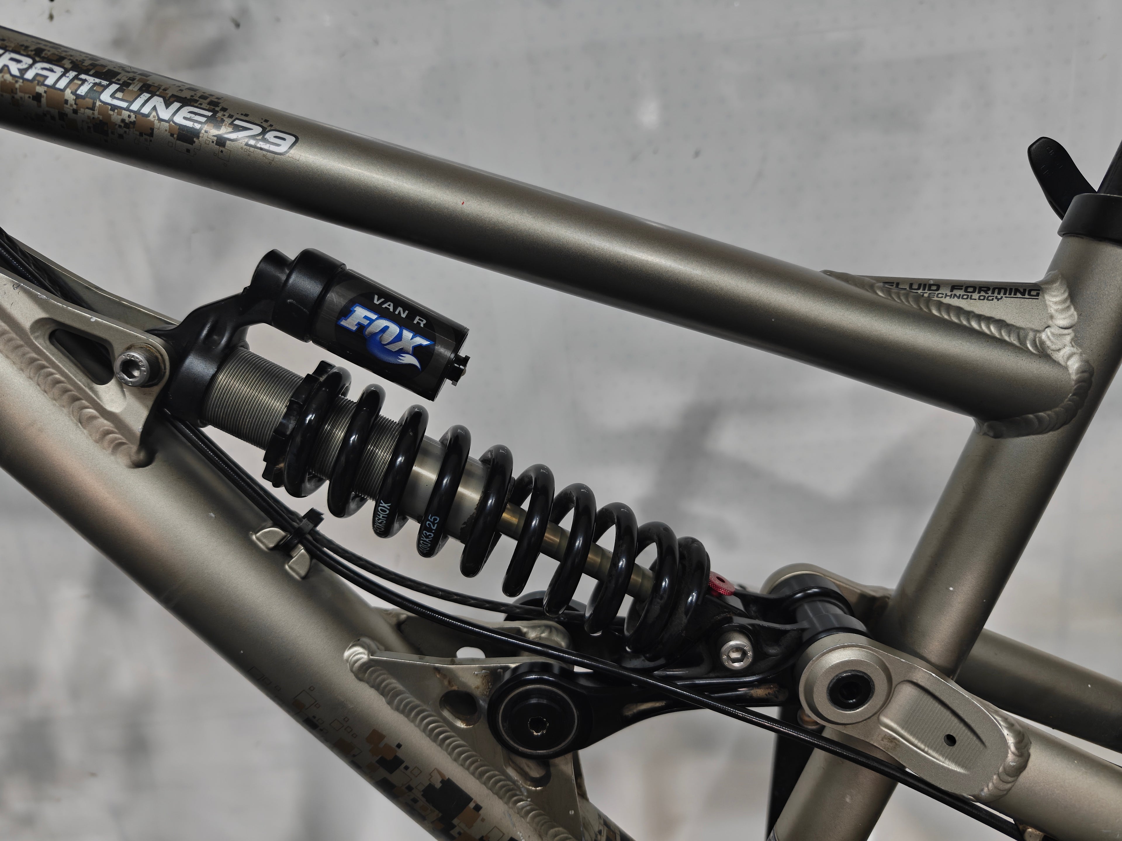 Bergamont Straitline 7.9