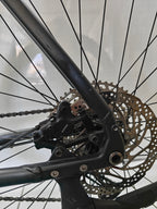 Radon ZR Team Hybrid 9.0, nur 985 KM