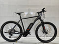 Radon ZR Team Hybrid 9.0, nur 985 KM
