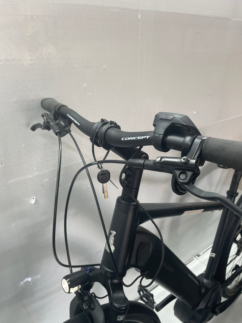 Raleigh Kent LtD Trekking - Rahmengröße M