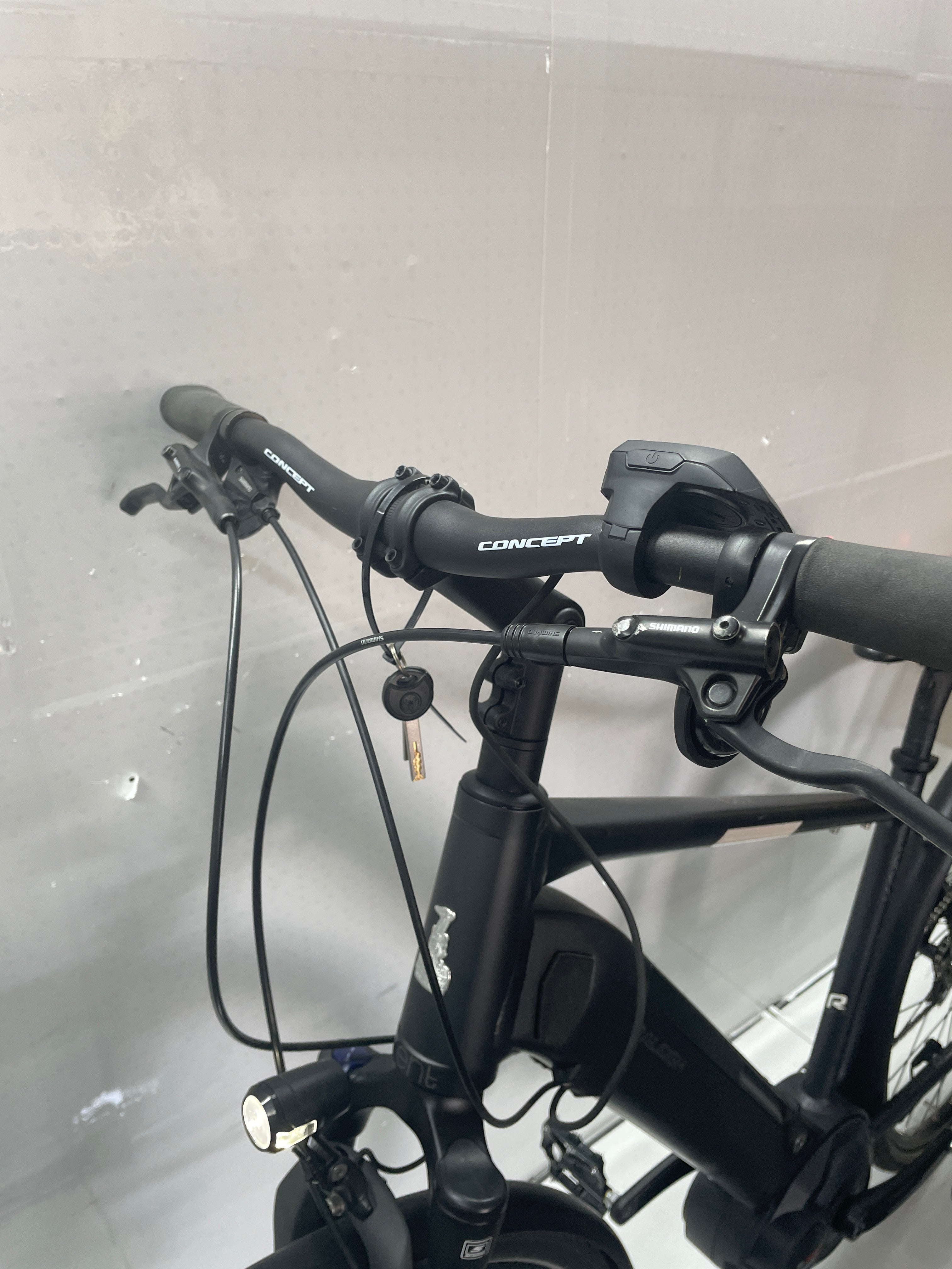 Raleigh Kent LtD Trekking - Rahmengröße M