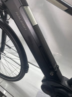 Raleigh Kent LtD Trekking - Rahmengröße M