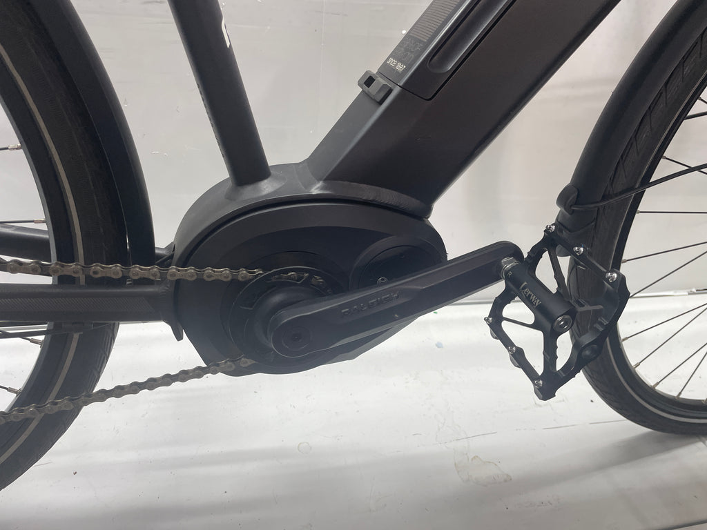 Raleigh Kent LtD Trekking - Rahmengröße M