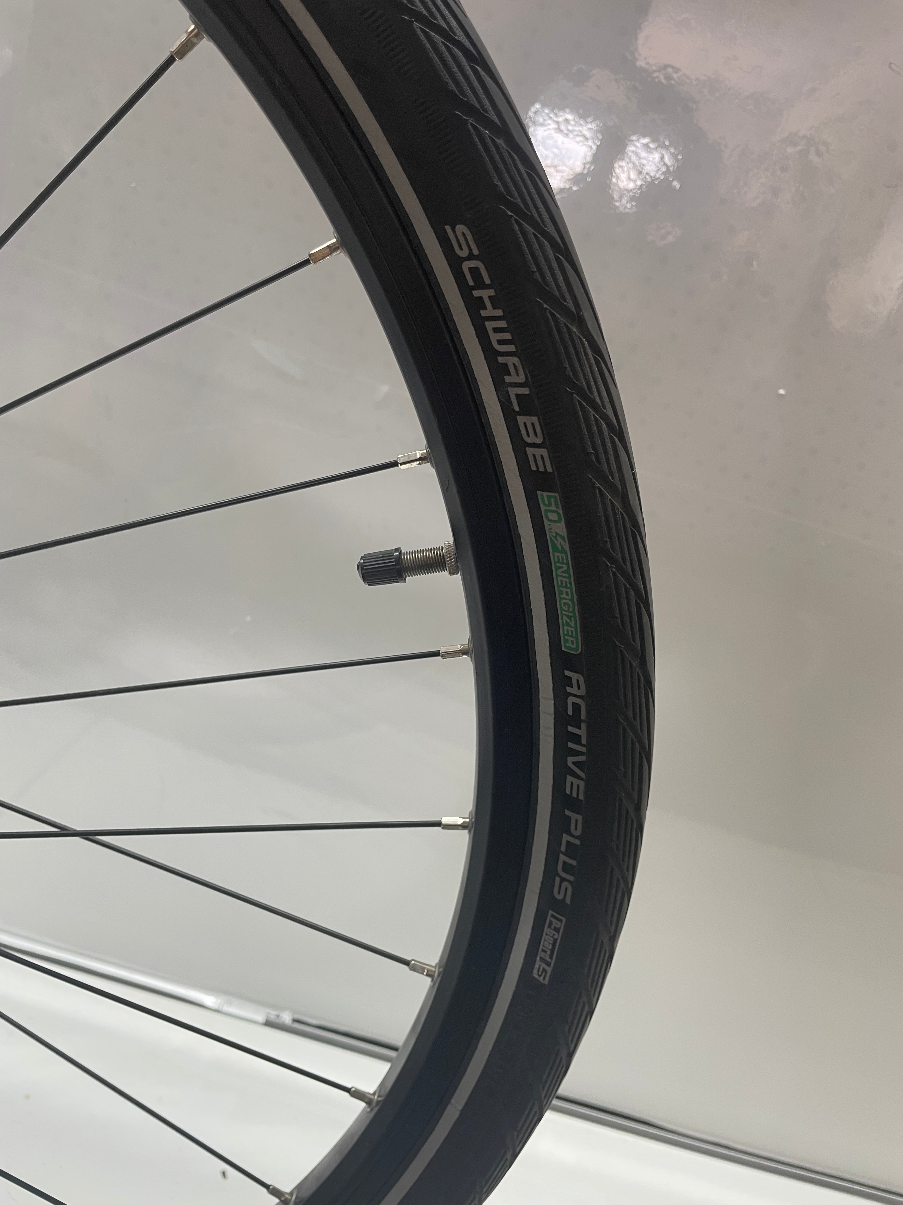 Raleigh Kent LtD Trekking - Rahmengröße M