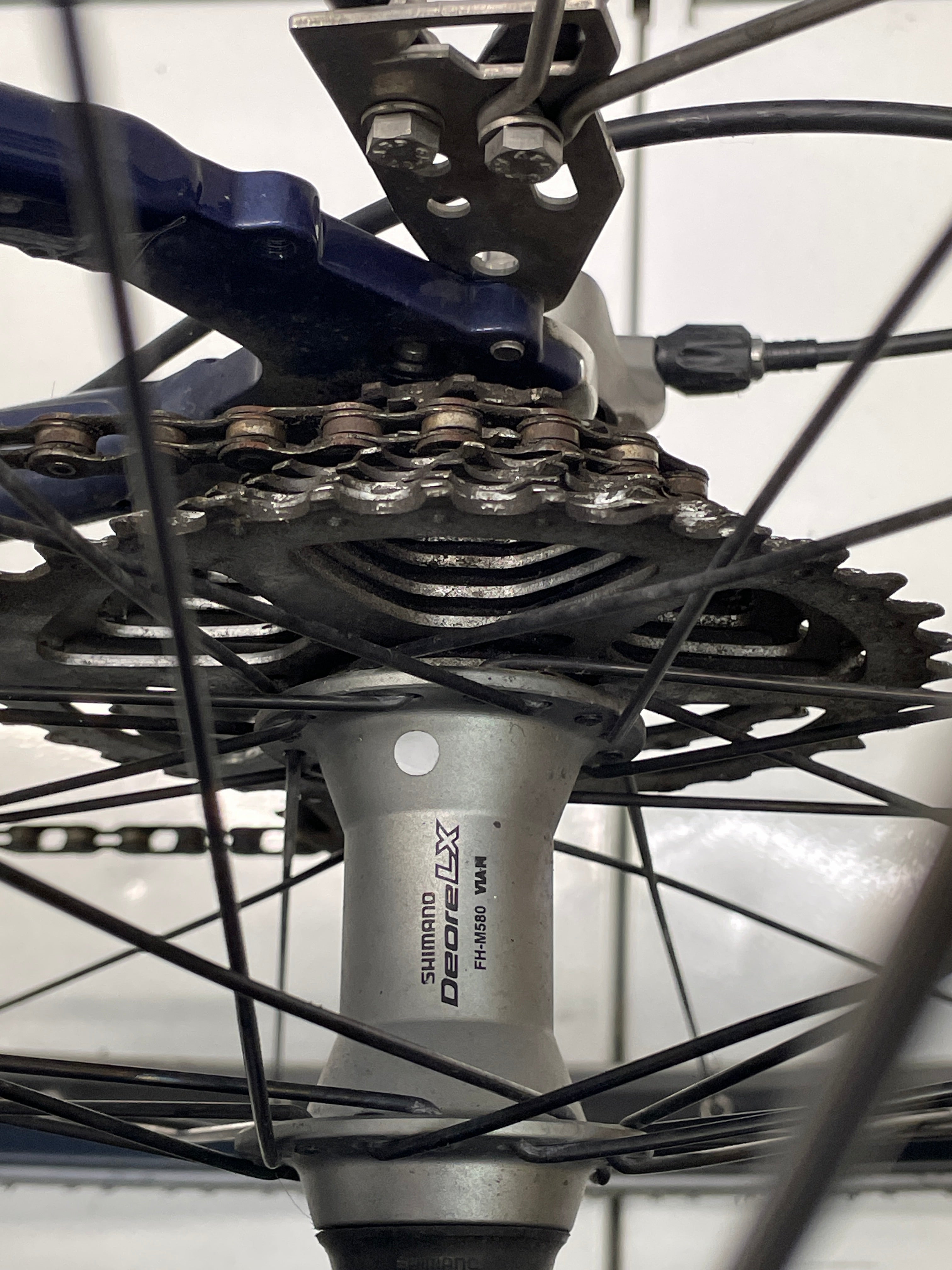 Steppenwolf TAO SL
