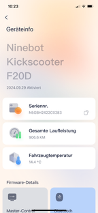 Segway ninebot KickScooter F20D