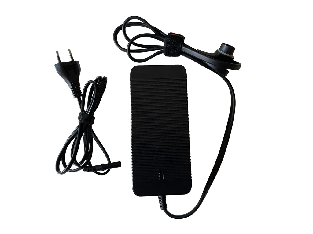 Li-ion Battery Charger Model: BC291360040