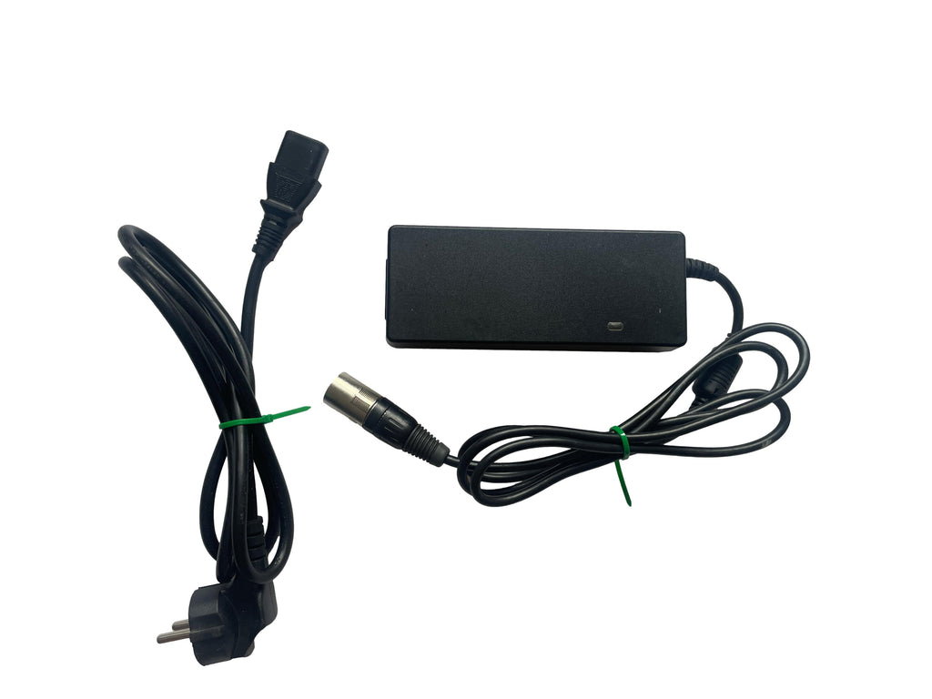 Ladegerät Accell Group / Delta DPS-84DB A - gebraucht