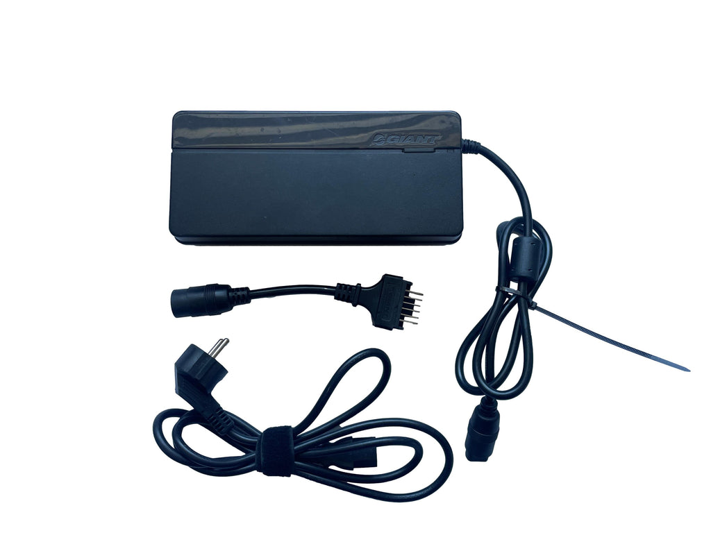 GIANT GLI270C 6A Schnell-Ladegerät mit Adapter