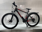 Raleigh Daymax