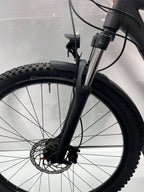 Raleigh Daymax