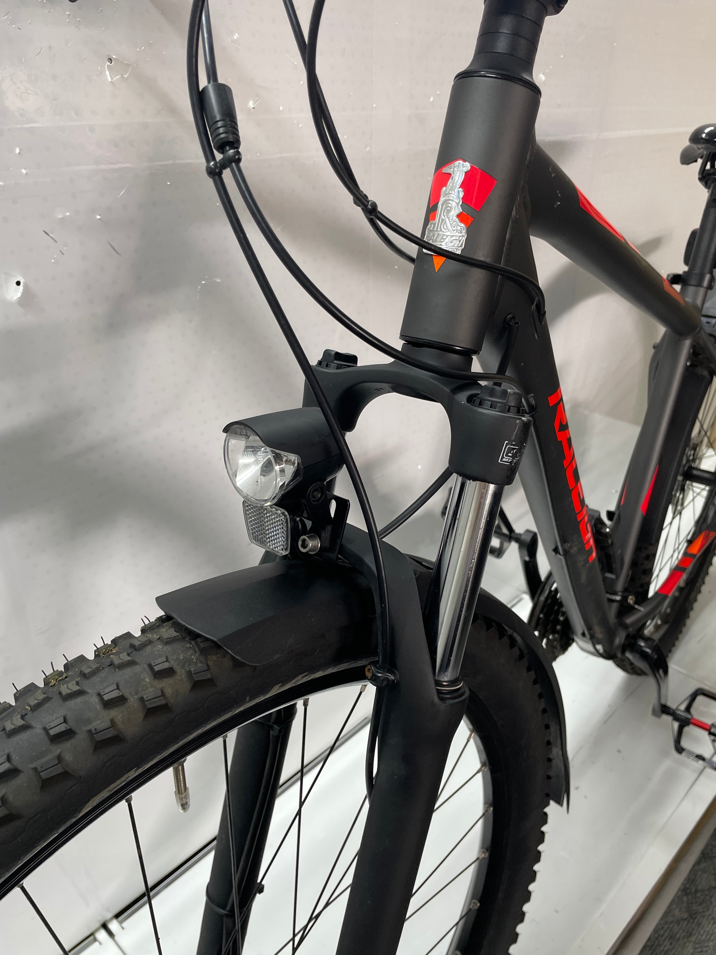 Raleigh Daymax