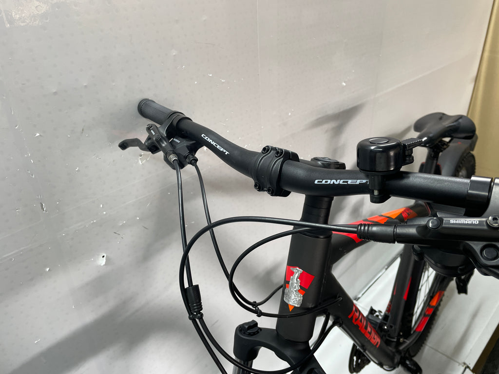 Raleigh Daymax