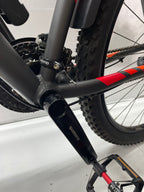 Raleigh Daymax
