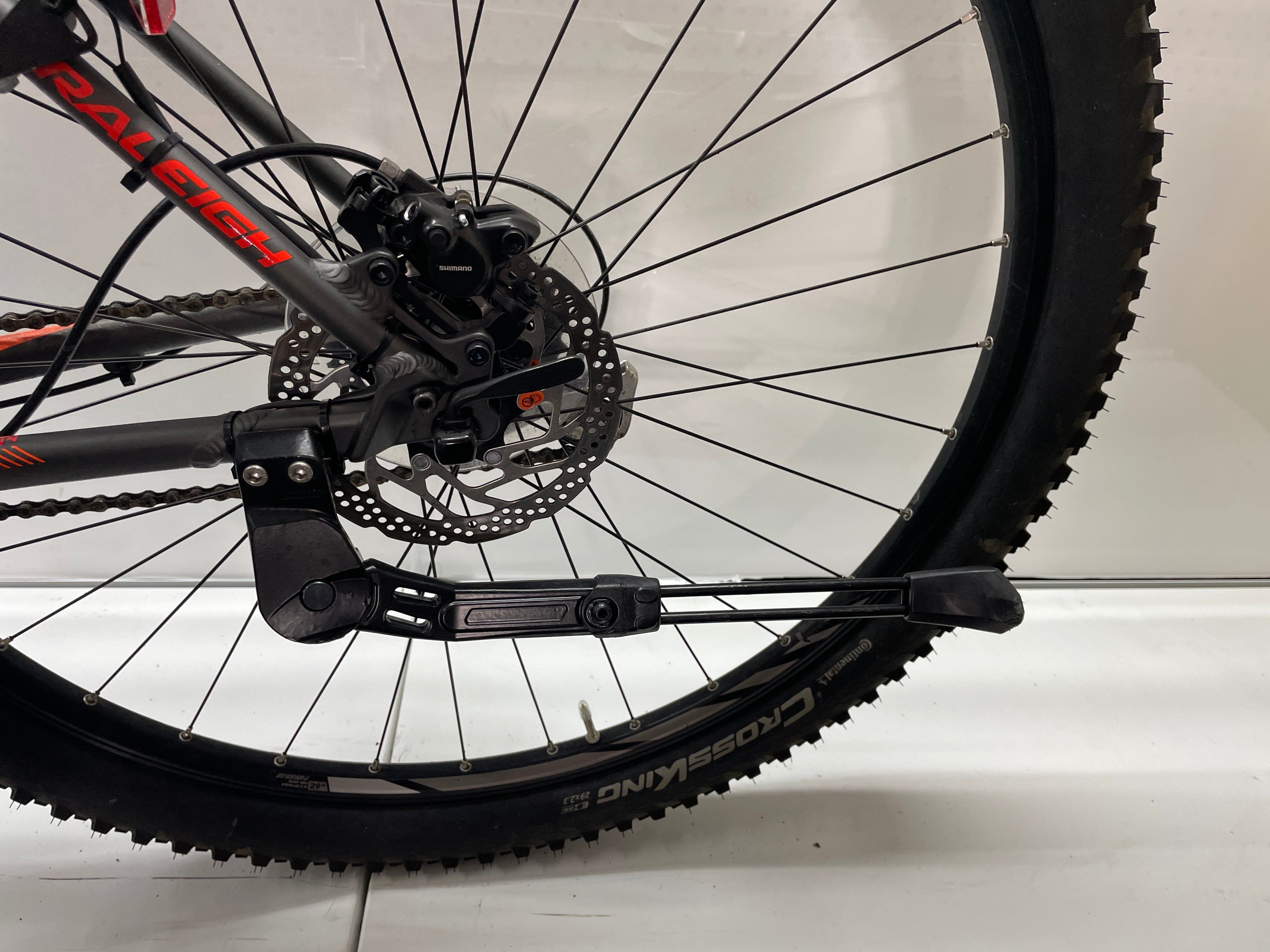 Raleigh Daymax