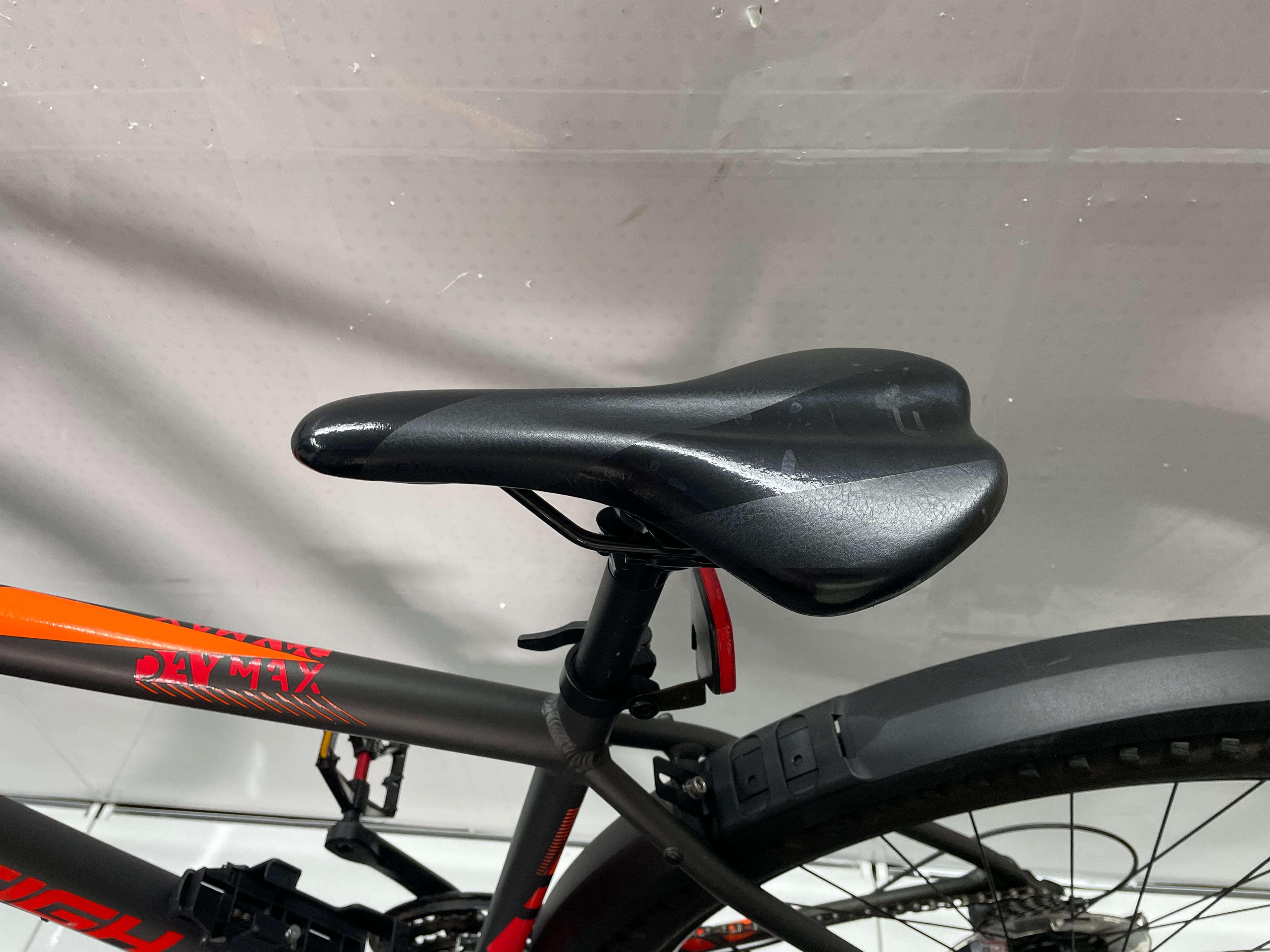 Raleigh Daymax