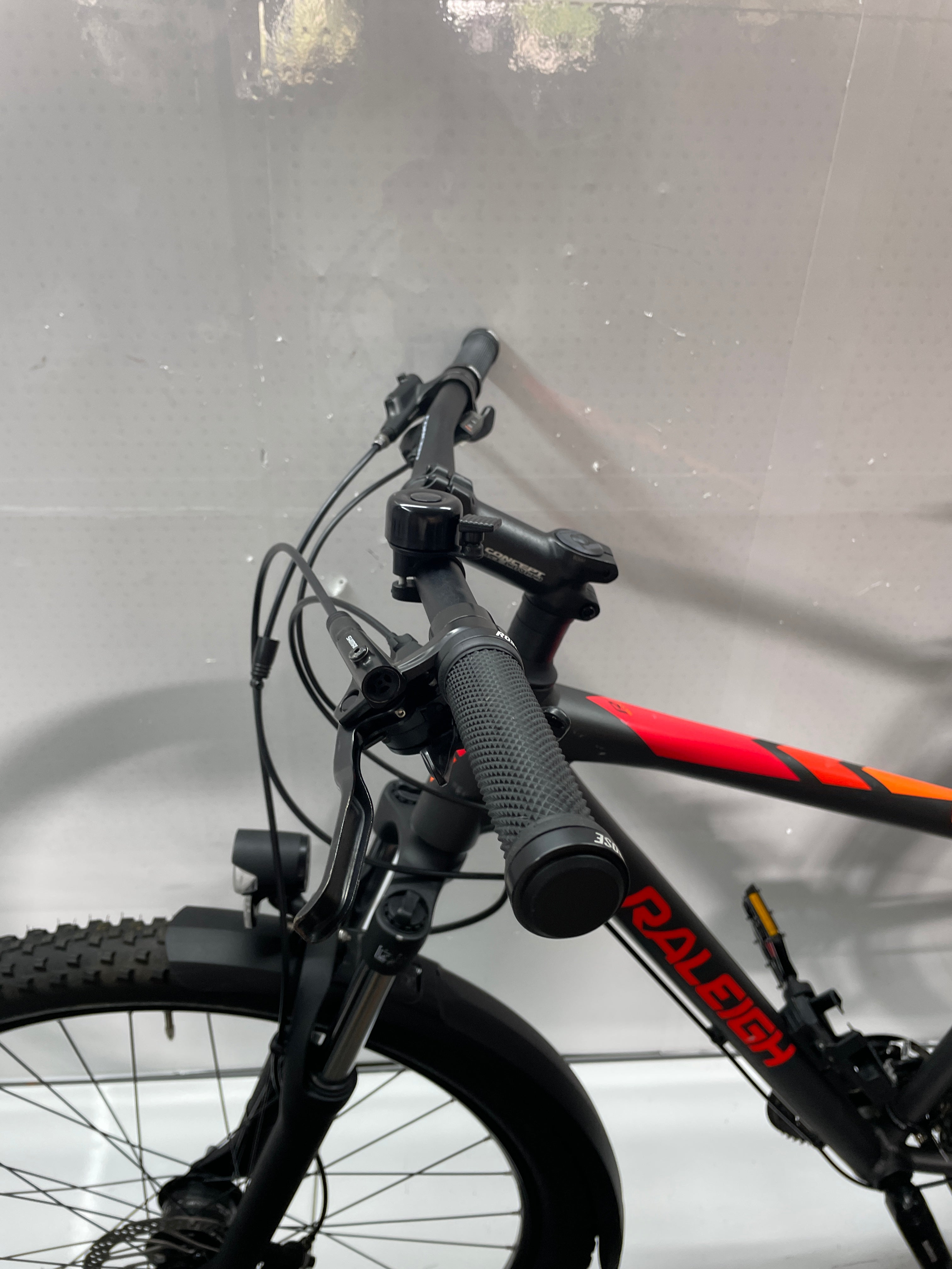 Raleigh Daymax