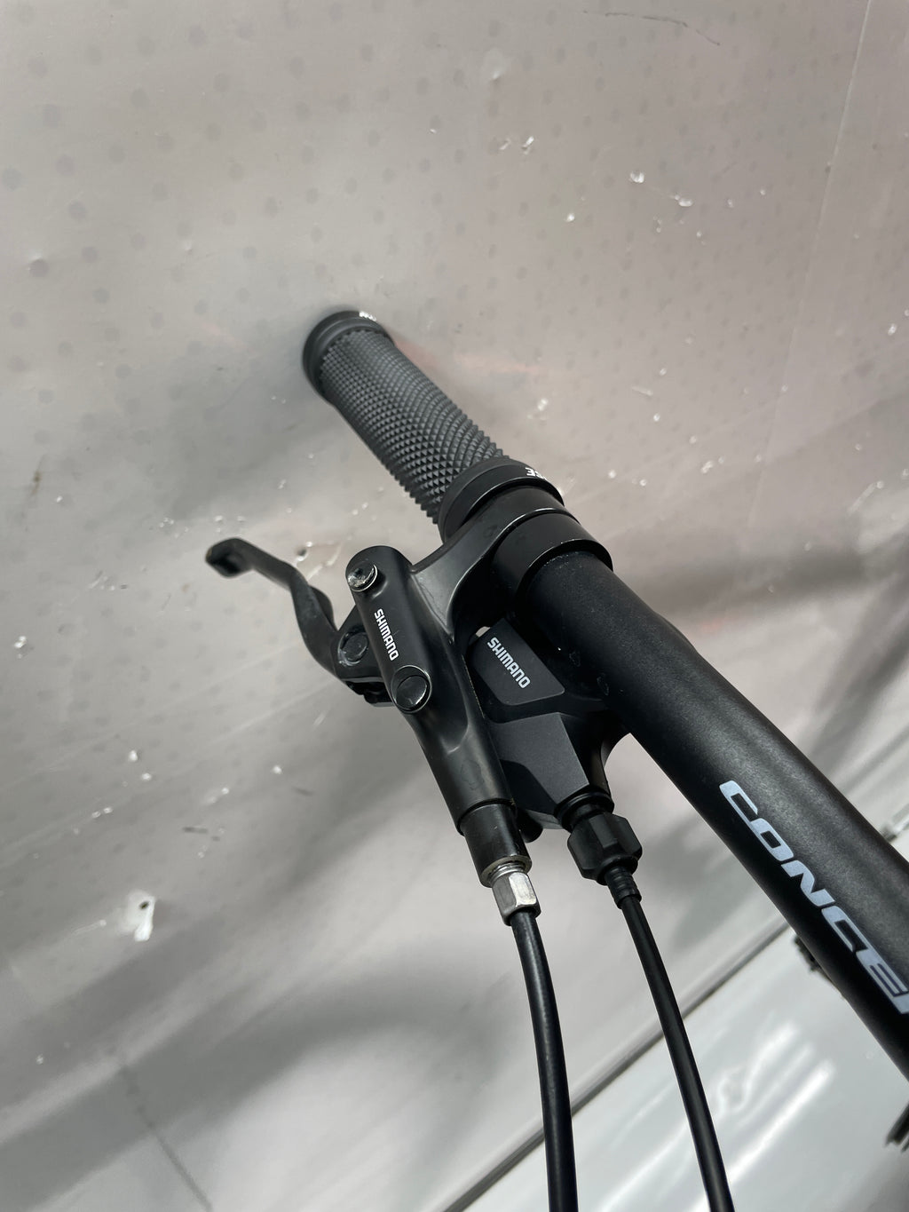 Raleigh Daymax