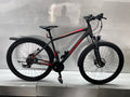 Raleigh Daymax