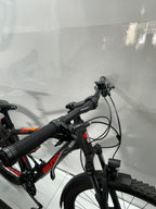 Raleigh Daymax