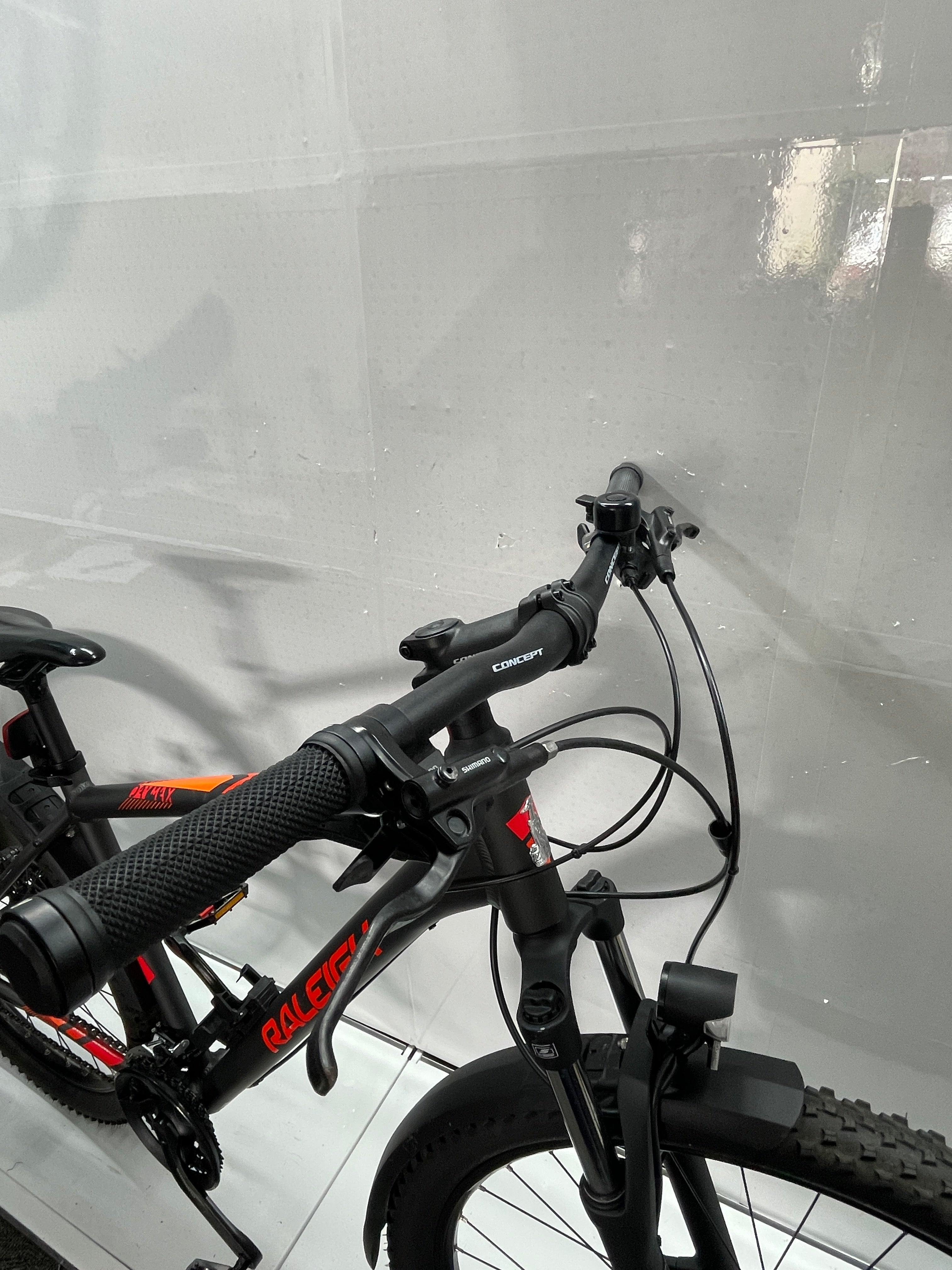 Raleigh Daymax
