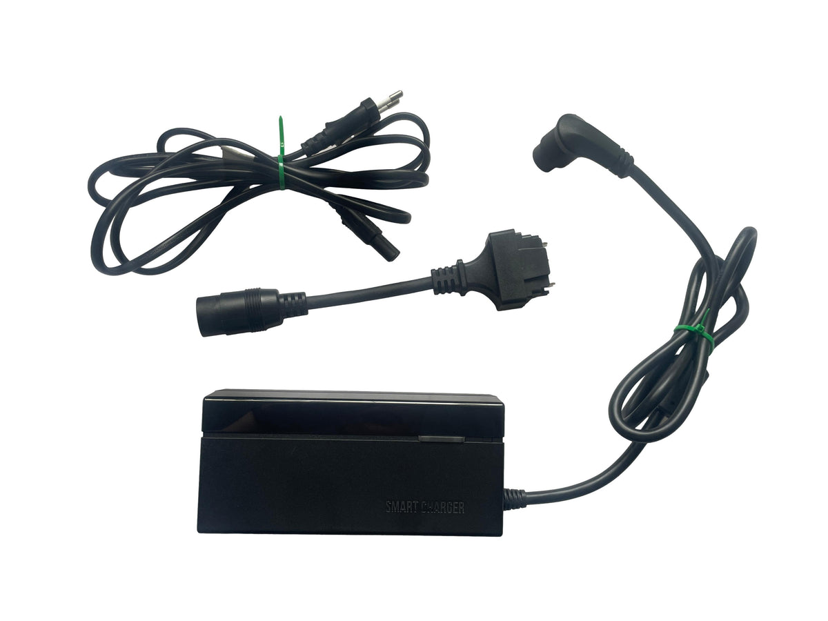 Ladegerät GIANT LIV MOMENTUM GLI180AA 4A mit Adapter - gebraucht