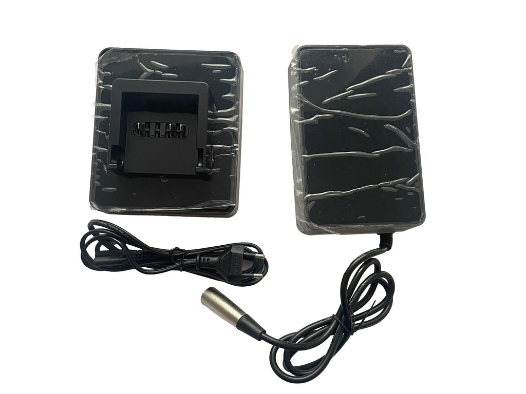Derby Cycle BSC4203000 + Ladestation - NEU