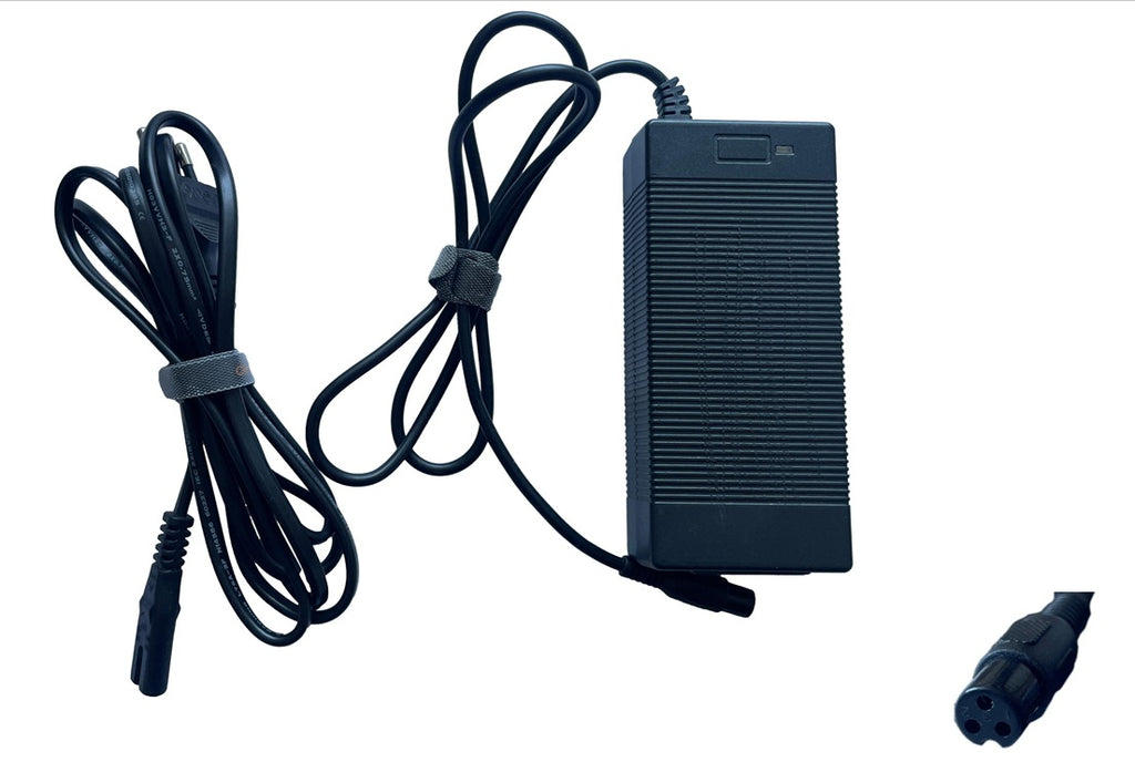 Ladegerät Tangspower TP-84W-420200 - gebraucht